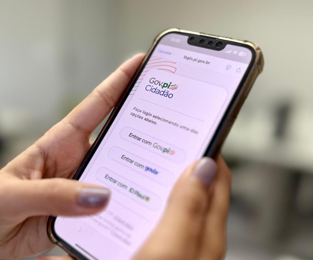 gov-pi-cidadao-2