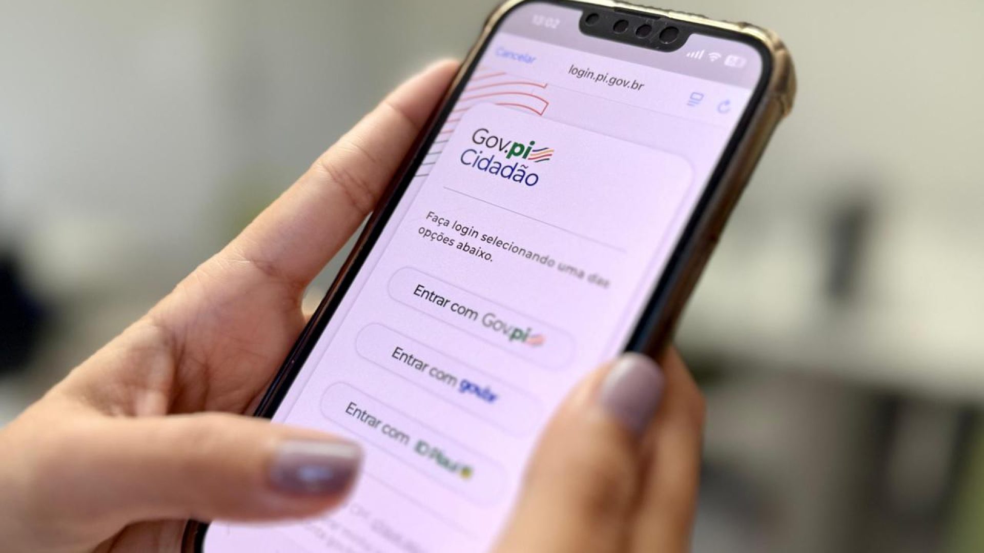 gov-pi-cidadao-2